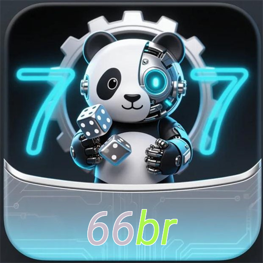 66br